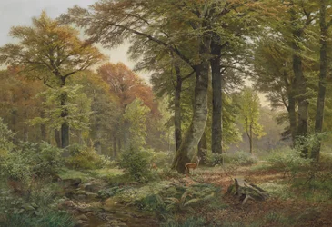 Petite clairière avec des chevreuils